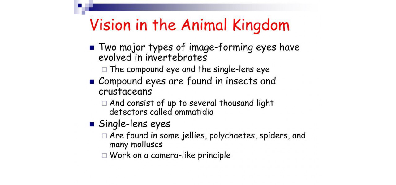 Optica si cercetarea comportamentului animal: investigarea vederii in regnul animal.