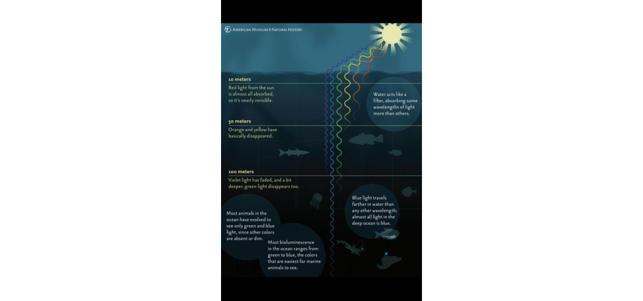 Optica si oceanografie: Explorand adancurile cu lumina.