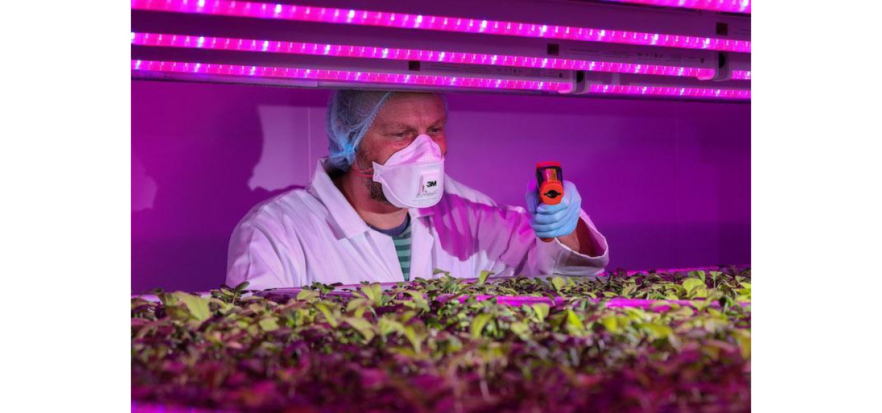 Optica si agricultura de precizie: optimizarea randamentului culturilor cu lumina.