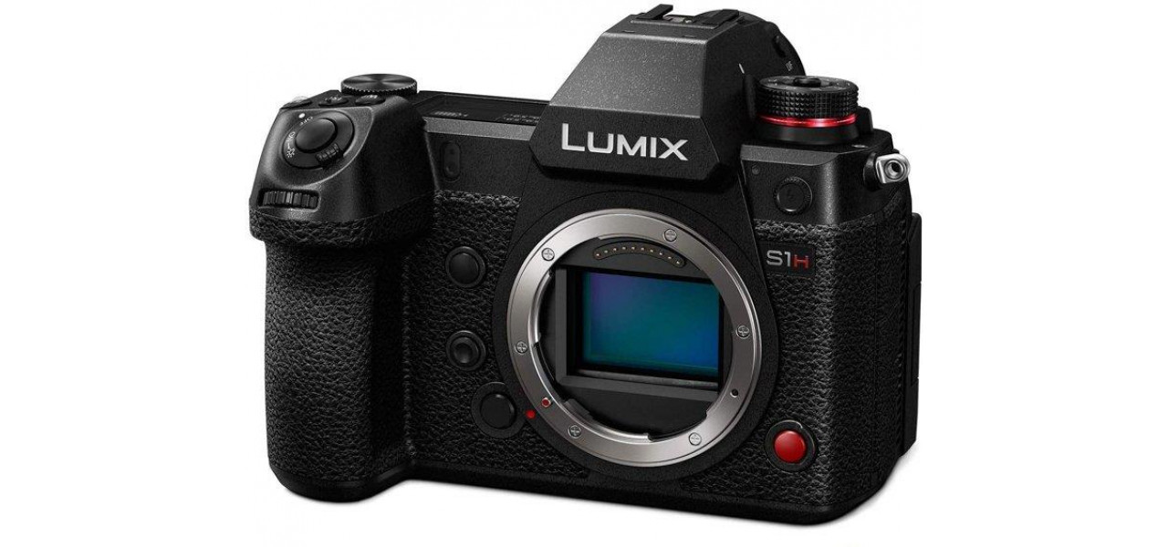 Camere Panasonic: un ghid cuprinzator pentru videografia vietii salbatice.