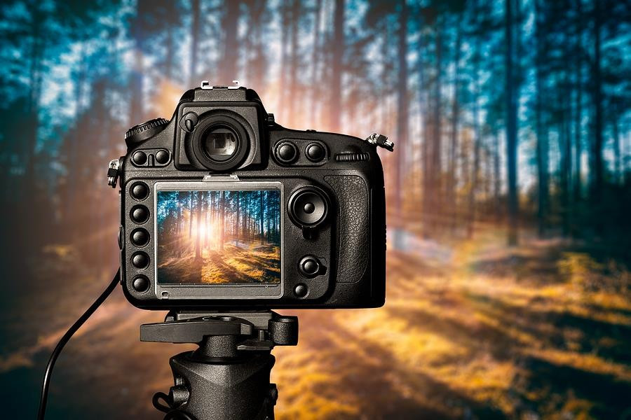 Camere Panasonic: o calatorie in lumea fotografiei naturii.