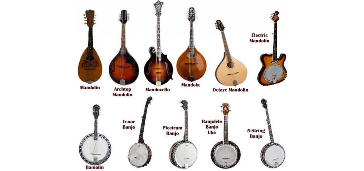 Instrumente de percutie in Bluegrass: Adaugarea unei intorsaturi ritmice muzicii traditionale.