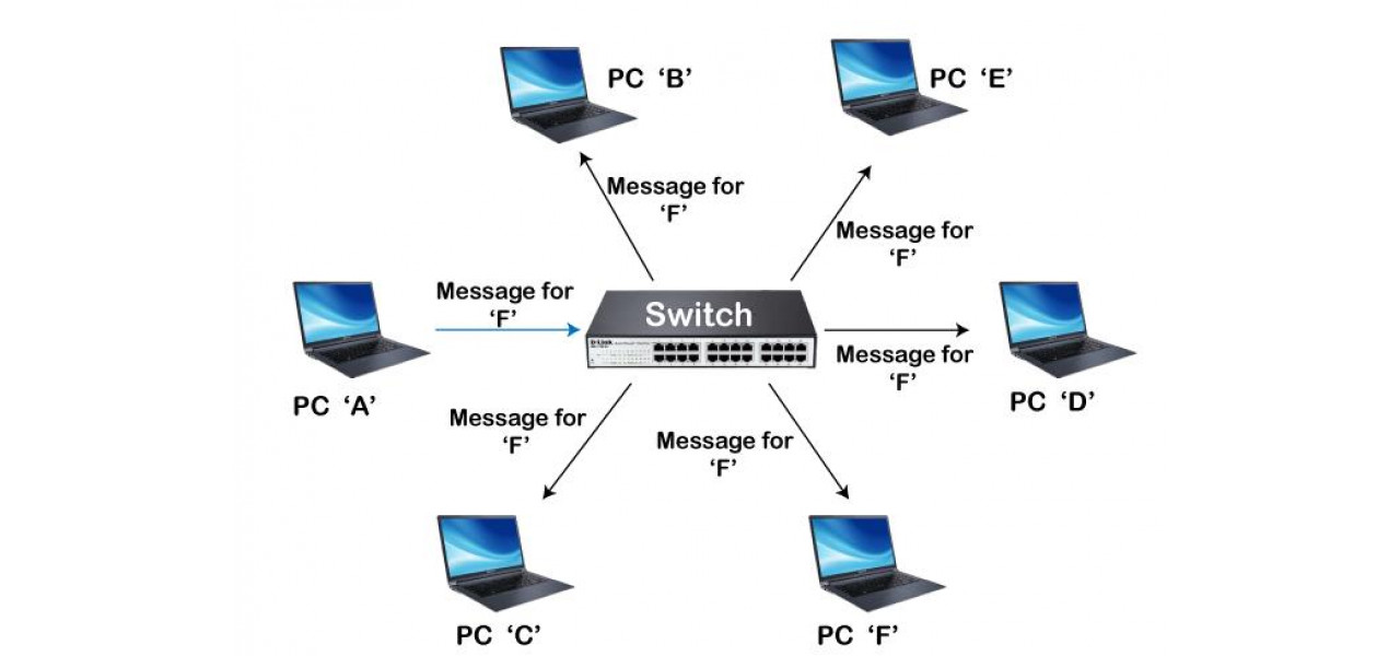 Router vs Switch: diferentierea capacitatilor si cazurilor de utilizare.