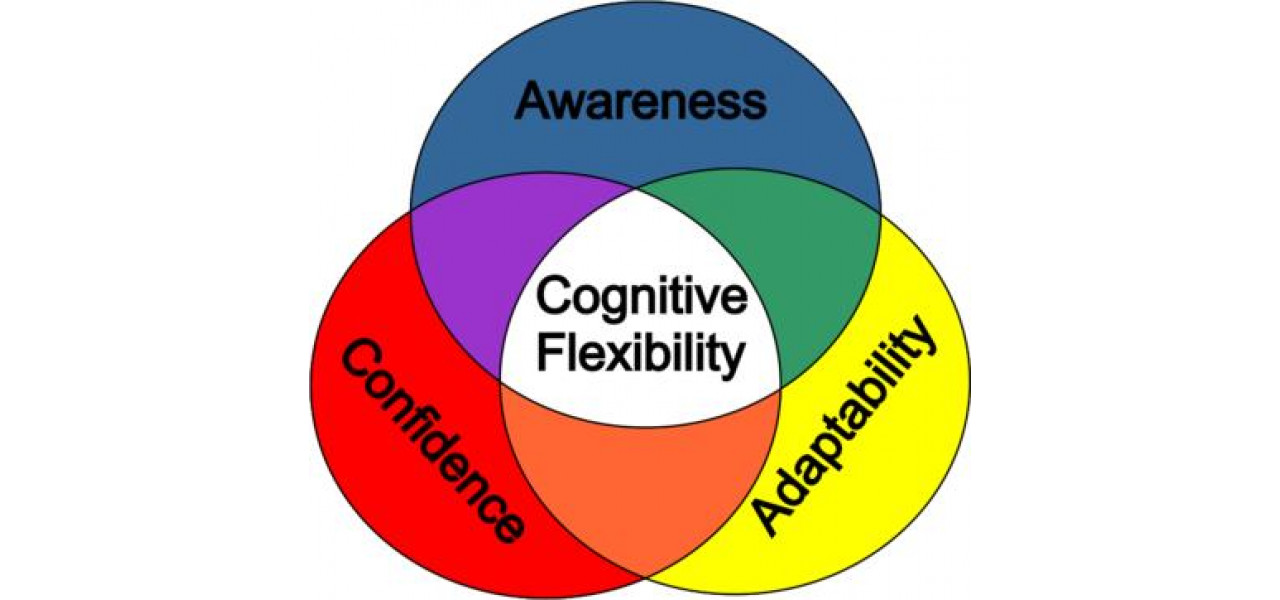 Set de jocuri si flexibilitate cognitiva: adaptarea la noile provocari prin joc.