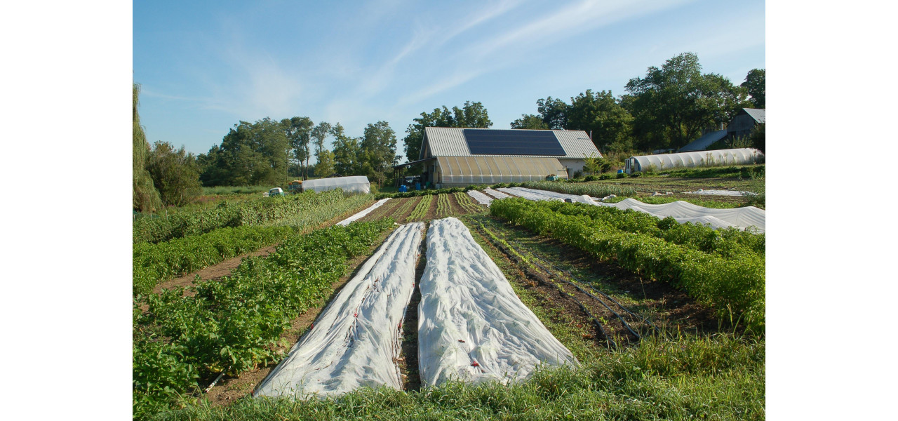 Agricultura durabila: explorarea intersectiei agriculturii si energiei.