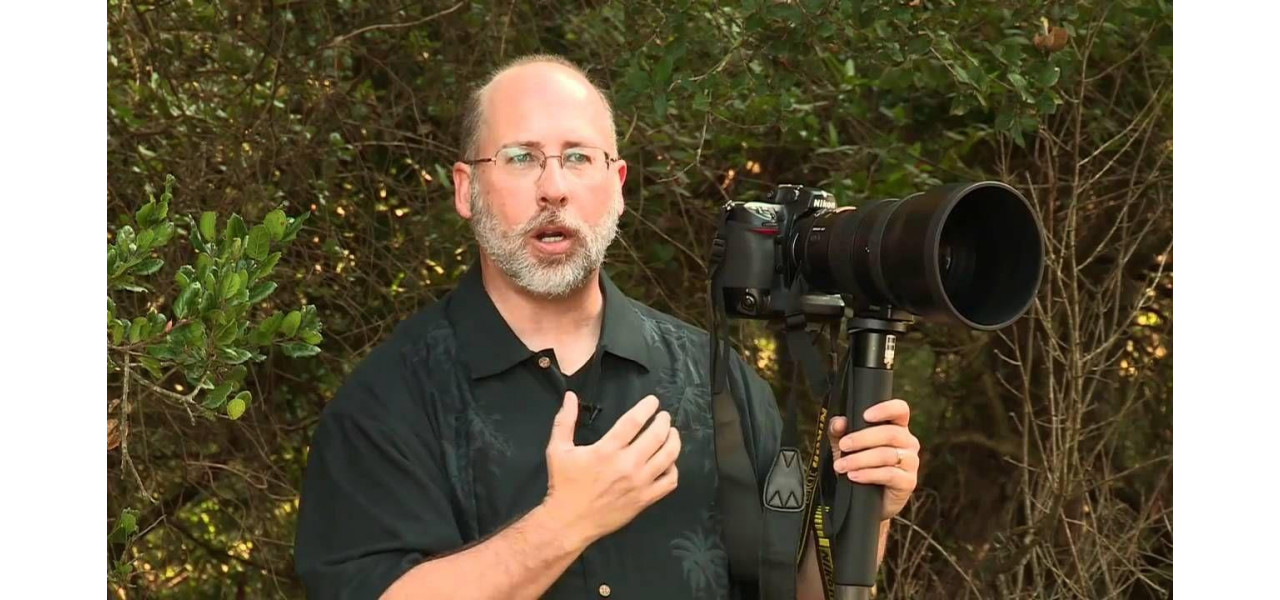 Ducerea fotografiei macro la nivelul urmator cu un monopied: sfaturi si tehnici.