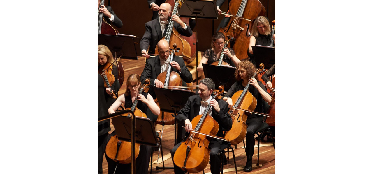 Povesti din sectiunea de violoncel: viata intr-o orchestra.