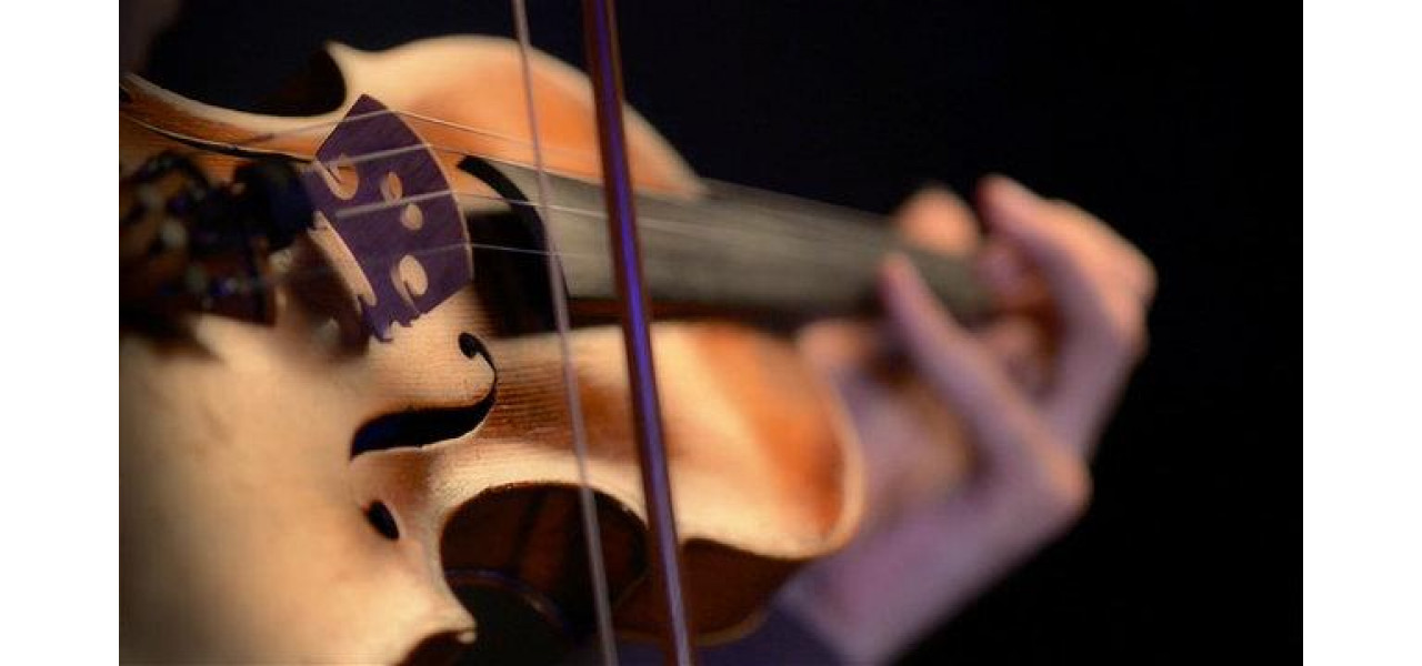 Arta de a arcui stilurile la vioara: de la Staccato la Legato.