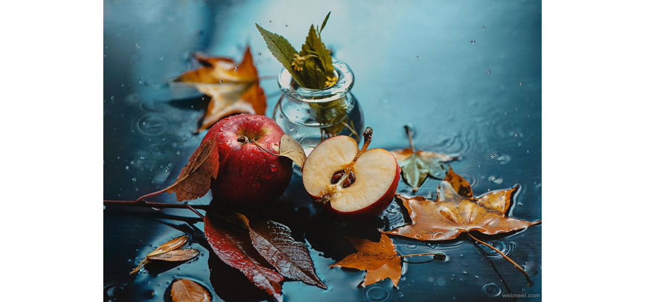 Arta fotografierii cu natura moarta: accesorii esentiale pentru surprinderea frumusetii.