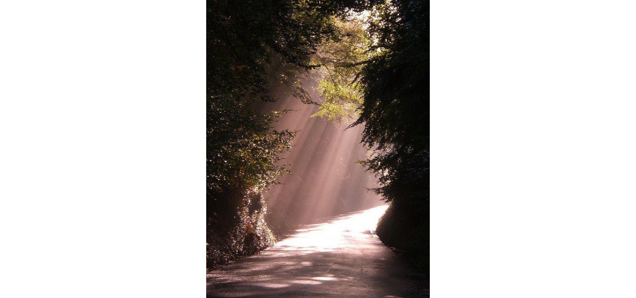 Frumusetea luminii naturale: valorificarea razelor solare pentru imagini uimitoare.