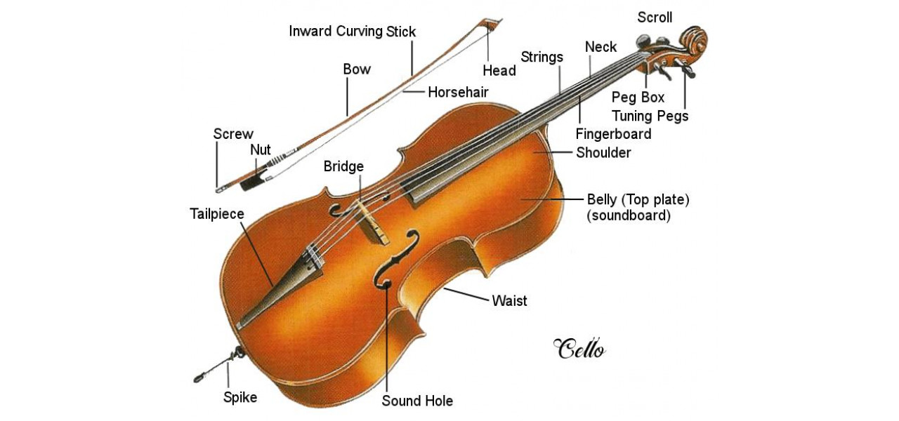 Rolul violoncelului in Orchestral Tutti si Solo Passages.