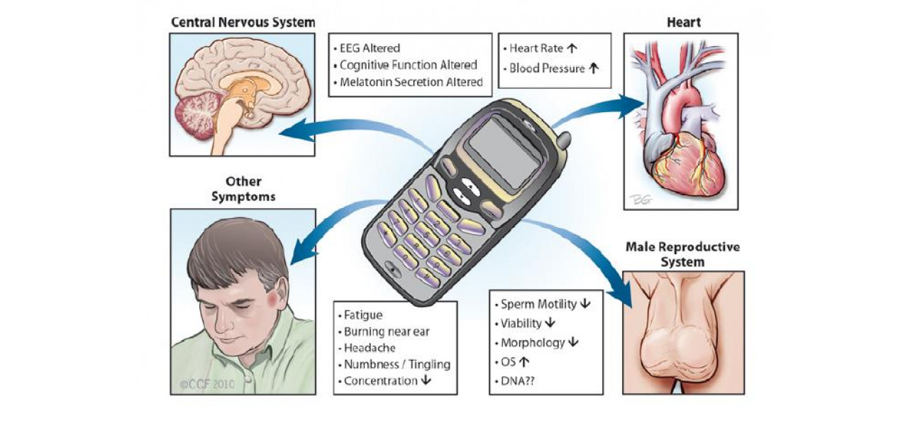 Efectele telefoanelor fixe asupra conexiunii umane.