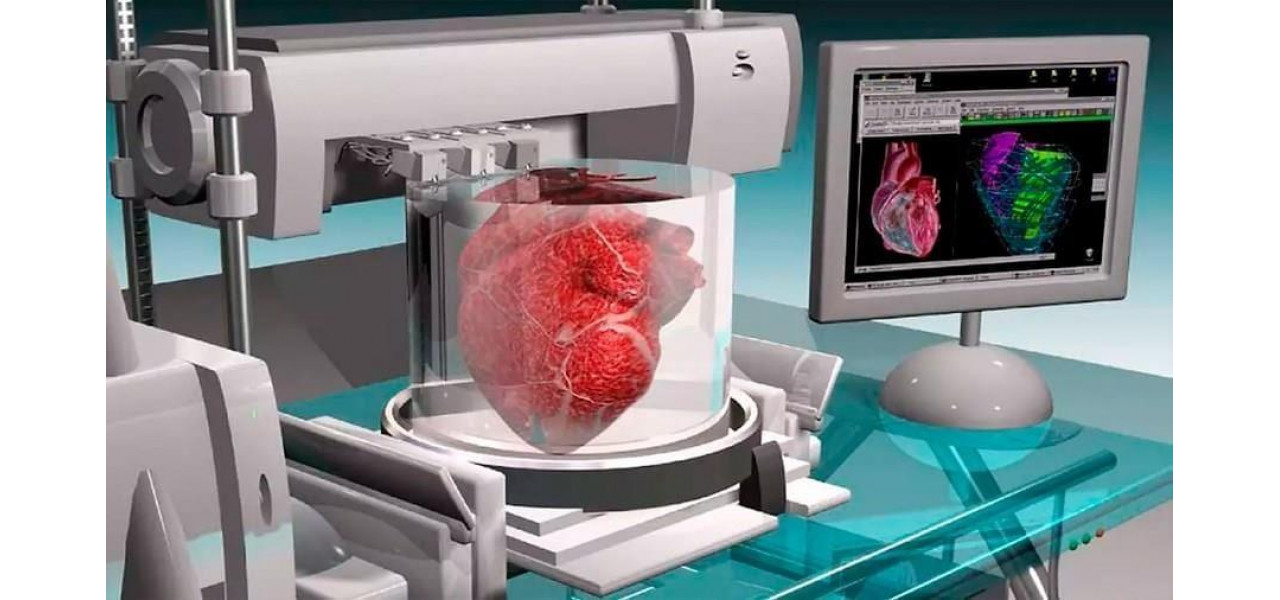Viitorul medicinei: transplanturi de organe imprimate 3D.