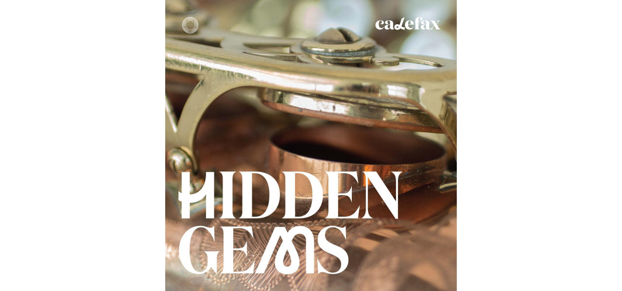 The Hidden Gems: albume subestimate care stralucesc pe vinil.