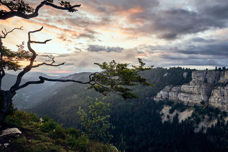 Impactul camerelor Canon asupra fotografiei de eco-turism.