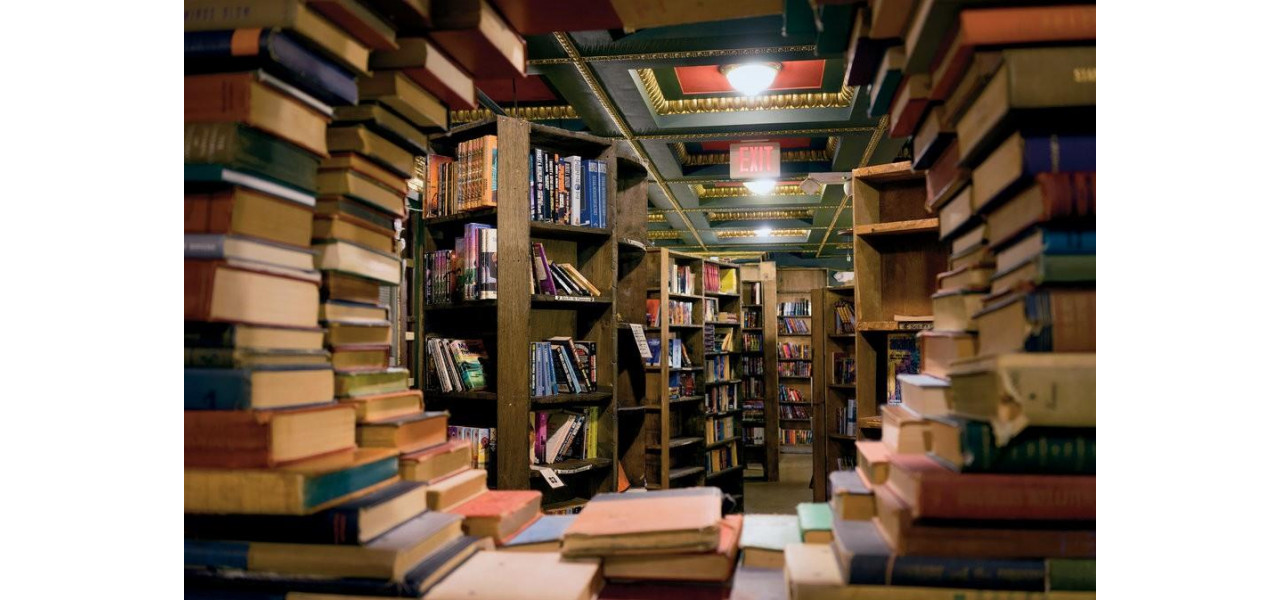 Impactul cartilor electronice asupra librariilor din orasele mici si zonele rurale.