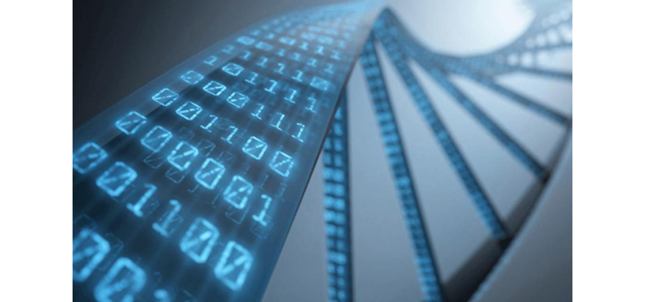 Impactul memoriei HDD IBM asupra stocarii datelor de secventiere genetica.