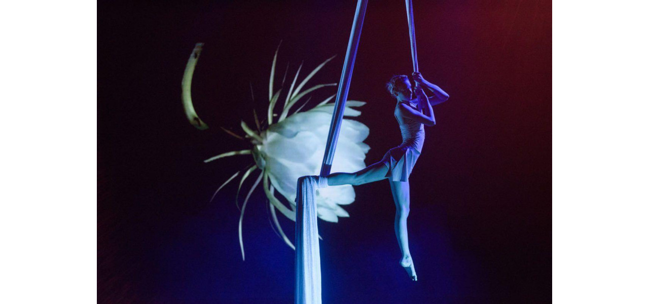Impactul proiectoarelor in spectacole aeriene uluitoare si spectacole acrobatice.
