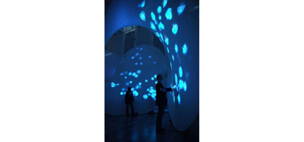 Impactul proiectoarelor in spectacolele subacvatice si expozitiile de acvariu: o fereastra catre lumea marina.