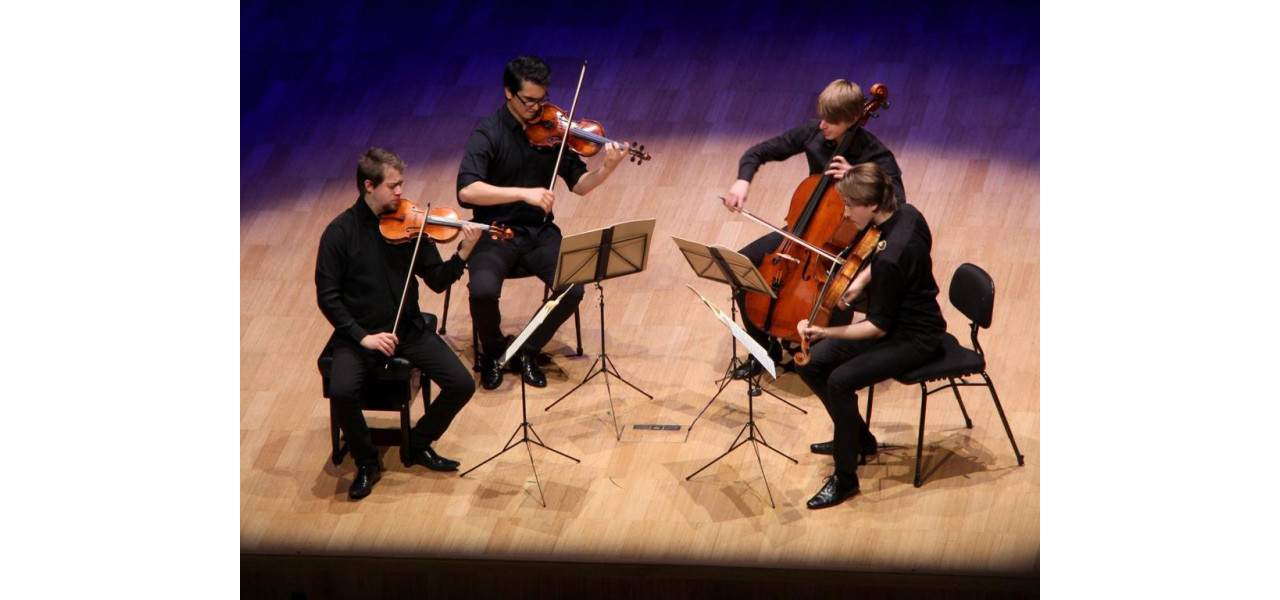 Impactul ansamblurilor de vioara: de la cvartete la orchestre de camera.