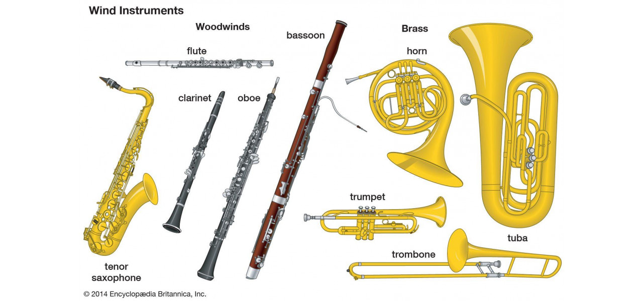 Influenta instrumentelor de suflat asupra muzicii clasice.