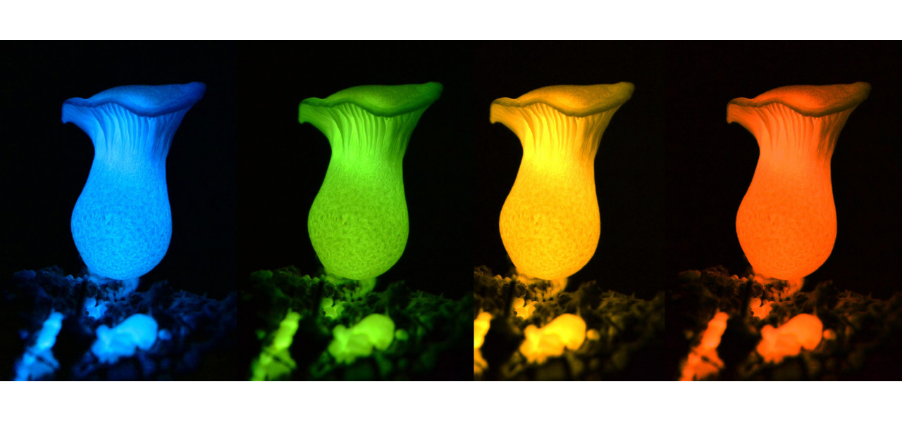 Misterul stralucirii in intuneric: intelegerea materialelor luminescente.