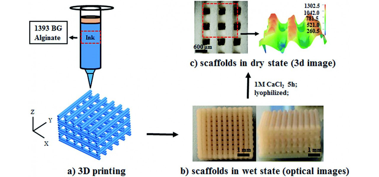 Potentialul filamentului de imprimanta 3D cu eliberare bioactiva.