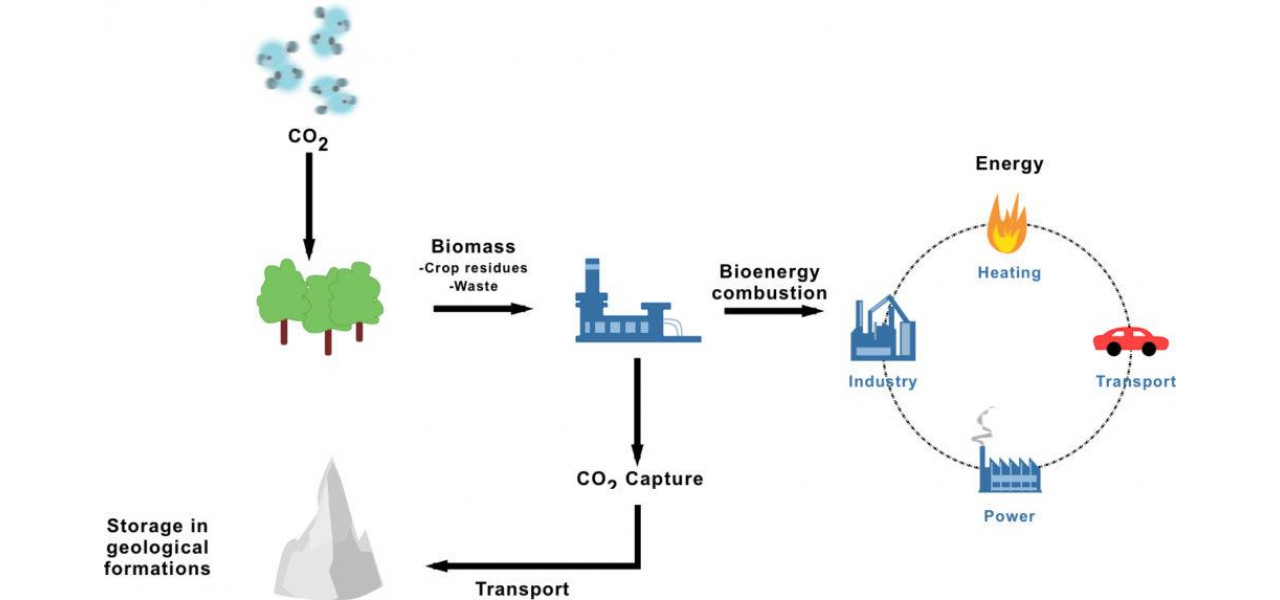 Potentialul bioenergiei cu captarea si stocarea carbonului care realizeaza emisii negative.