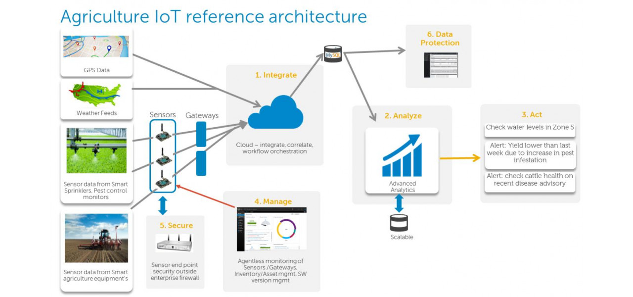 Puterea serverelor Dell in infrastructura IoT.