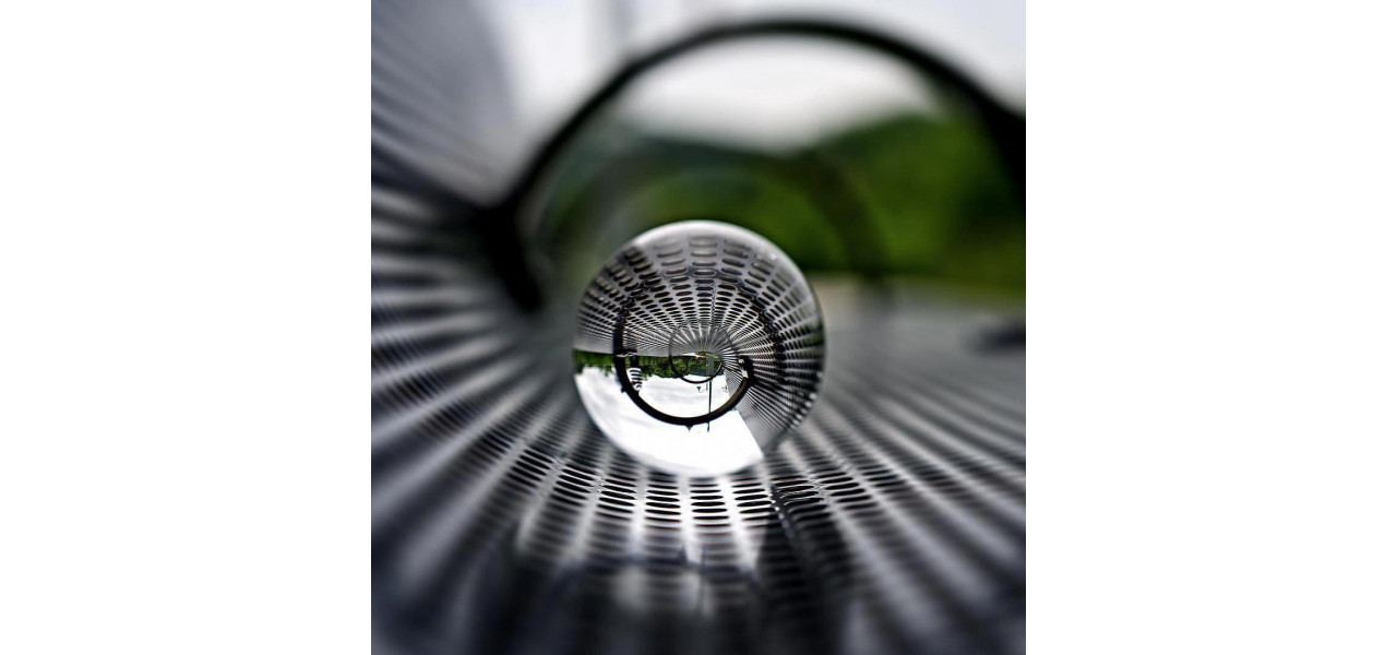 Puterea reflexiei: tehnici de fotografiere macro Canon.