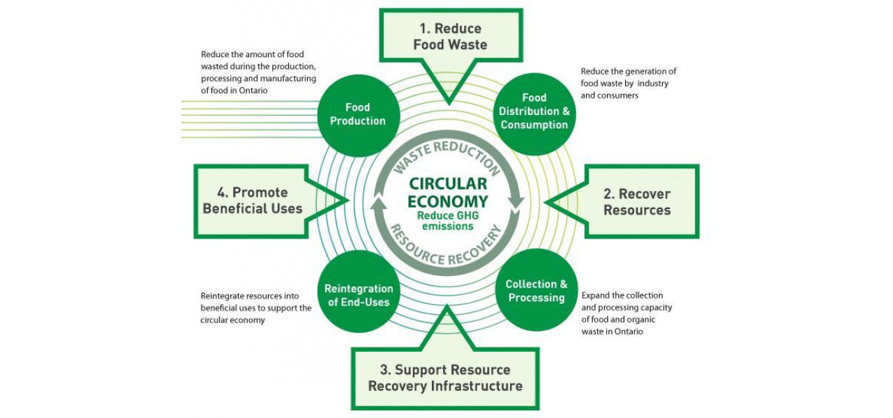 Rolul economiei circulare in minimizarea risipei alimentare in productia de energie.