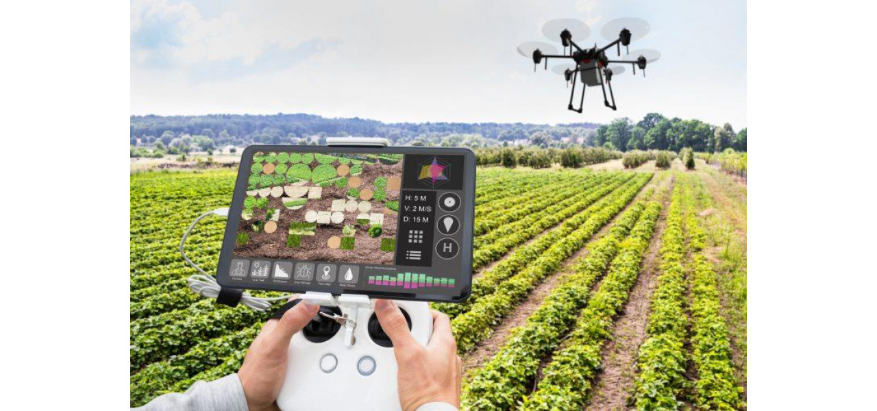 Rolul unitatilor flash USB in transferul de date din sectorul agricol pentru agricultura de precizie.