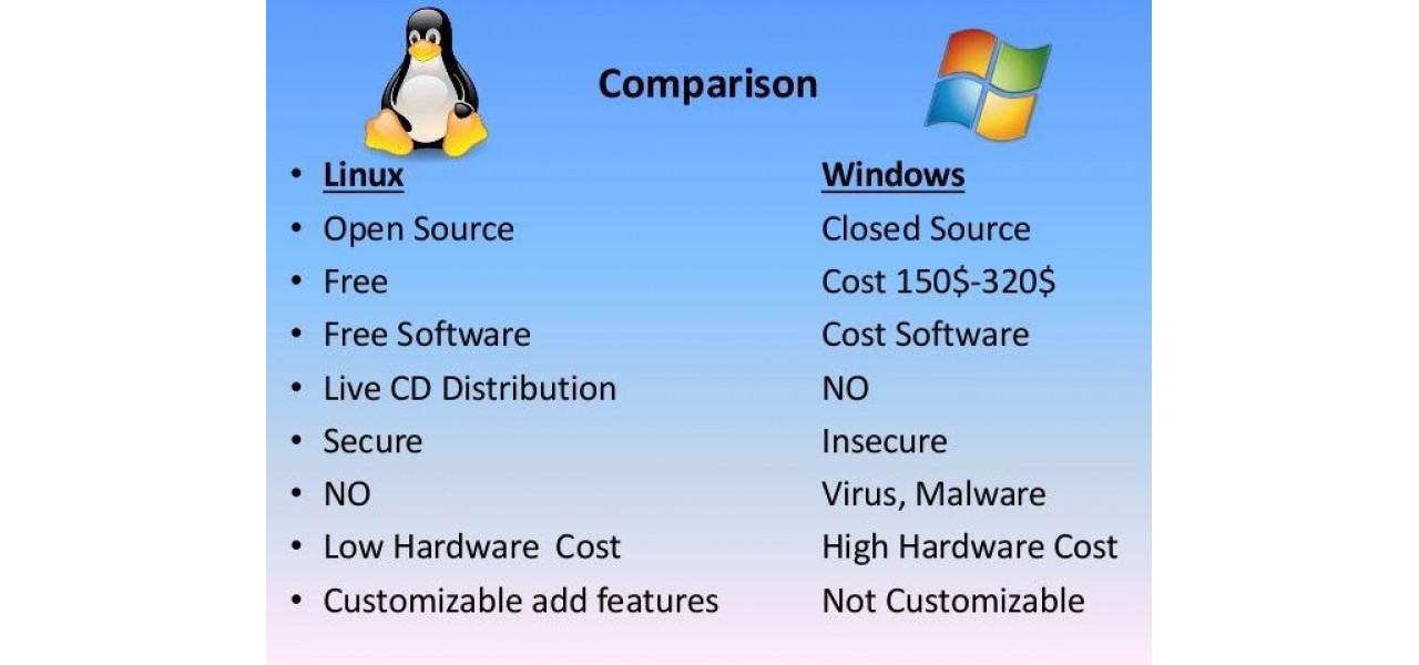 Понимание вариантов операционной системы Asus для ПК: Windows против Linux