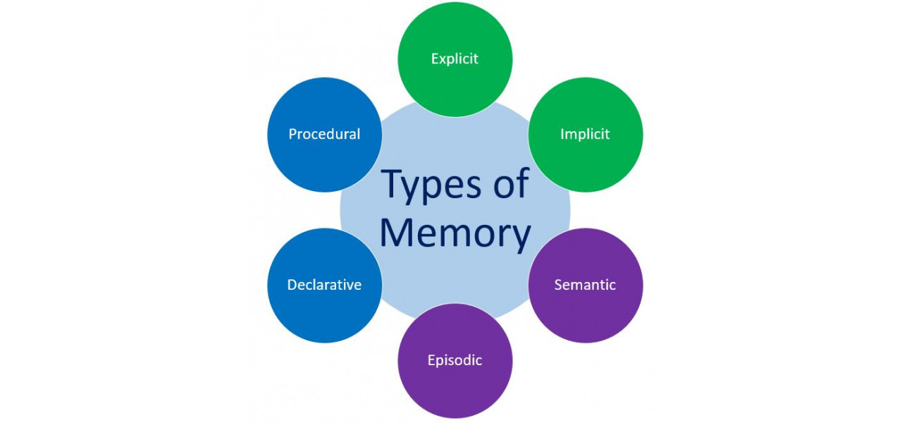 Intelegerea diferitelor tipuri de memorie externa.