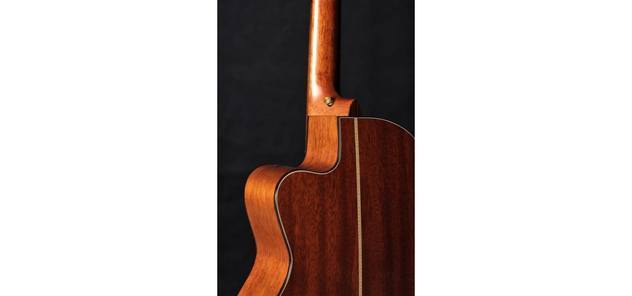 Dezvaluirea misterelor chitarei acustice Tonewoods Impactul asupra sunetului si proiectiei.