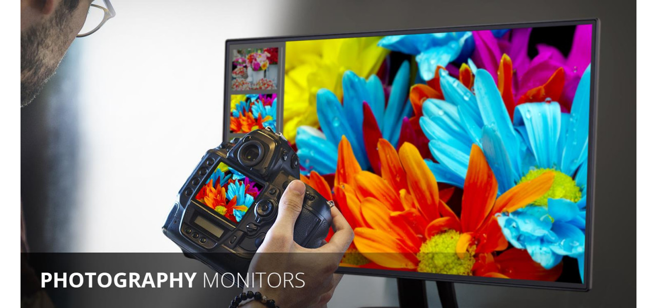 Monitoare ViewSonic pentru fotografie: captarea culorilor in fiecare detaliu.