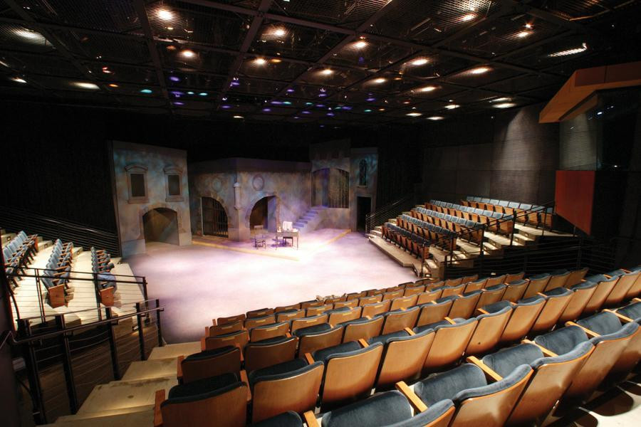 Camere web in artele spectacolului: adaptarea teatrului la scena digitala.