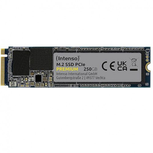New meaning Malfunction Engrave Внутренний твердотельный накопитель 250 ГБ SSD NVMe M.2 Type 2280 Intenso Premium, чтение 2100 МБ/ New meaning Malfunction Engrave Внутренний твердотельный накопитель 250 ГБ SSD NVMe M.2 Type 2280 Intenso Premium, чтение 2100 МБ/