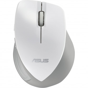 Asus WT465