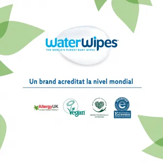 Servetele umede Water Wipes, 12 pachete x 60 buc, 720 buc