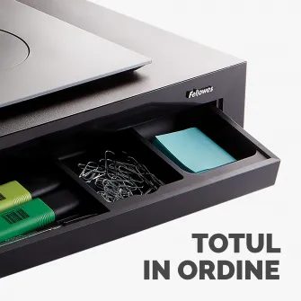 Suport pentru monitor Designer Suites