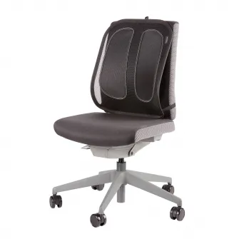 Suport pentru spate Mesh, Office Suites
