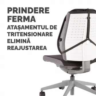 Suport pentru spate Mesh, Office Suites