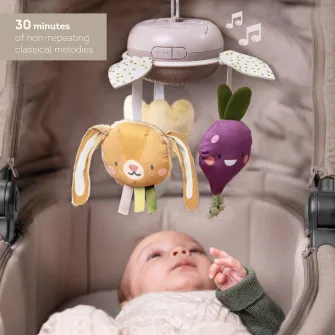 Jucarie muzicala Taf Toys - Urban Garden