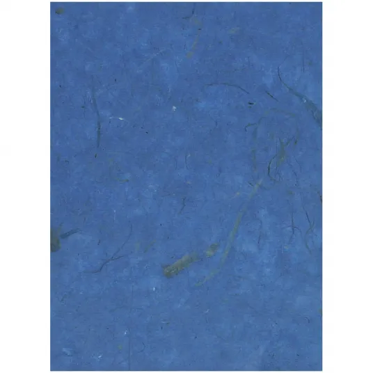 Pachet 10 coli hartie artizanala din coaja de banana, Clairefontaine, 65x95cm, Albastru regal