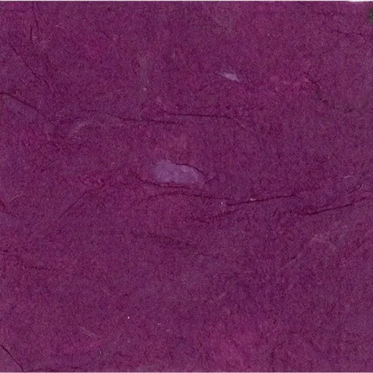 Pachet 10 coli hartie artizanala din lemn de dud, Clairefontaine, 25 g/mp, 65x95cm, Pruna