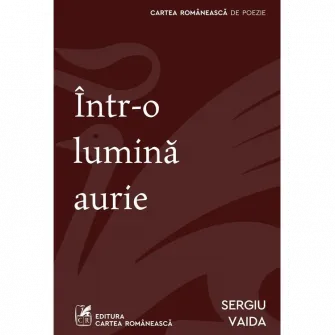 Intr-o lumina aurie, Sergiu Vaida