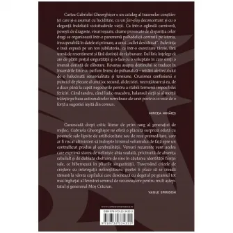 Vaduva plateste dublu, Gabriela Gheorghisor