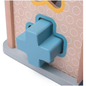 Jucarie sortare Bigjig Toys, Cubul magic