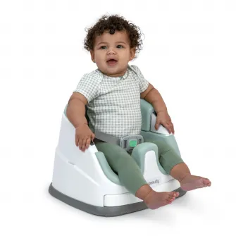 Scaun masa 2 in 1 pentru bebelusi Ingenuity Mist